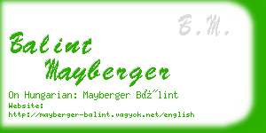 balint mayberger business card